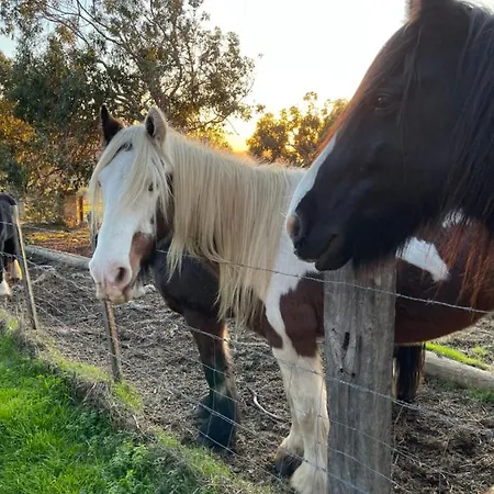 Superbe Neuf De Standing Διαμέρισμα