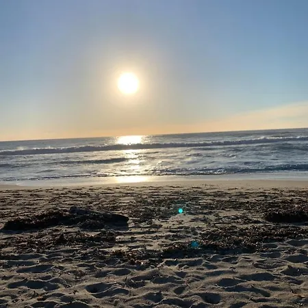 Superbe Neuf De Standing Διαμέρισμα Αζάτσιο