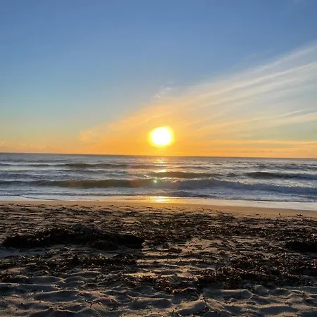 Superbe Neuf De Standing *