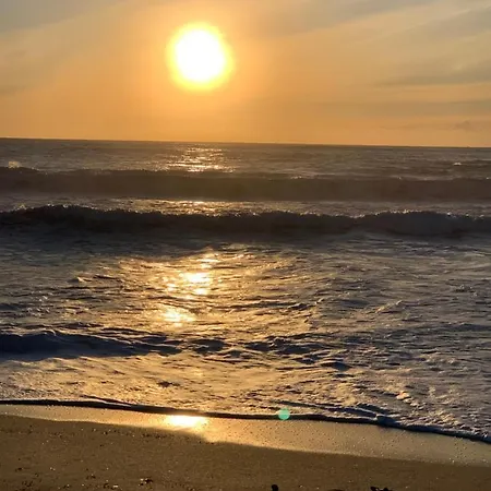 Superbe Neuf De Standing アジャクシオ