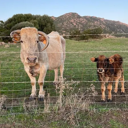 Superbe Neuf De Standing شقة أجاكسيو
