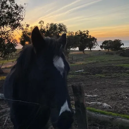 Superbe Neuf De Standing Apartment