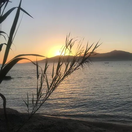 Superbe Neuf De Standing * Ajaccio (Corsica)