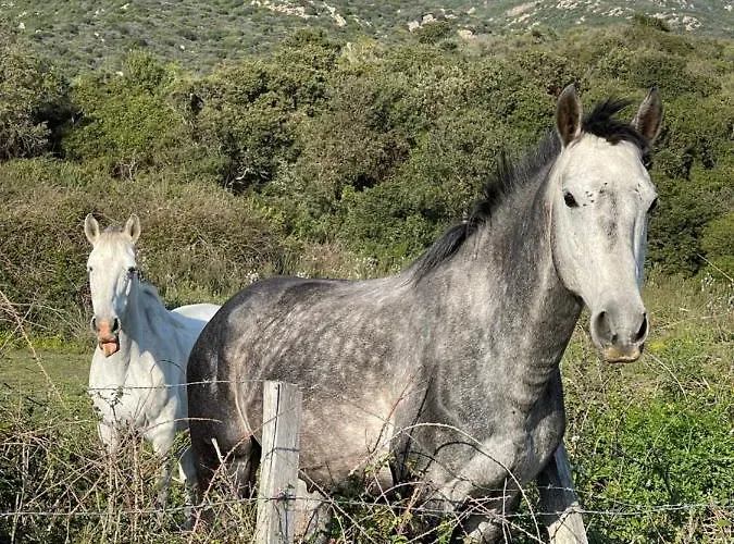 Apartamento Superbe Neuf De Standing