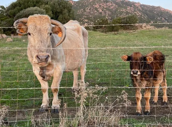 Superbe Neuf De Standing Apartamento Ajaccio (Corsica)