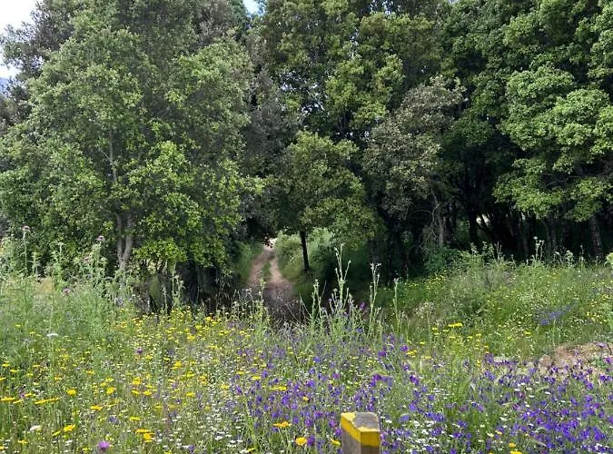 Superbe Neuf De Standing * Ajaccio (Corsica)